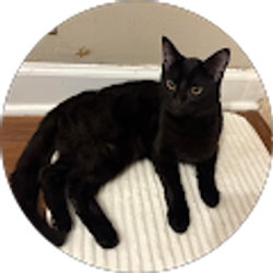 Profile photo of Guadalupe Rivera