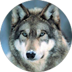 Profile photo of Jessica Sjolander