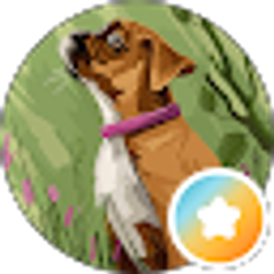 Profile photo of The Great Reviewer