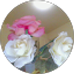 Profile photo of amlak elias