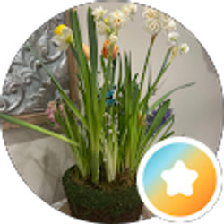 Profile photo of Karen Harshbarger