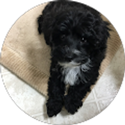 Profile photo of Linda Cunningham