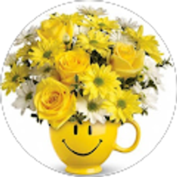 Profile photo of Asabi