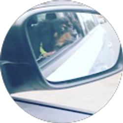 Profile photo of Pollorquista