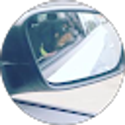 Profile photo of Pollorquista