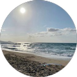 Profile photo of Sandra Barrella