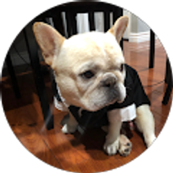 Profile photo of Daniel Luu