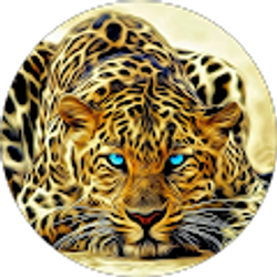 Profile photo of Wild Child