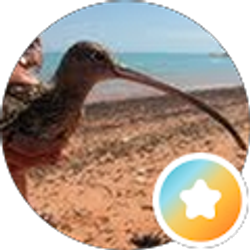 Profile photo of Mary Pfaffko