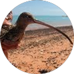 Profile photo of Mary Pfaffko