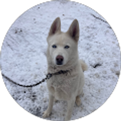 Profile photo of Kai Clark