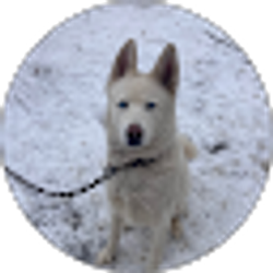 Profile photo of Kai Clark