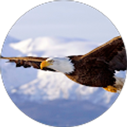 Profile photo of Douglas Kay