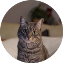 Profile photo of Jay Arias