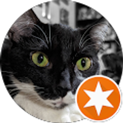 Profile photo of Laura Tart