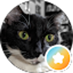 Profile photo of Laura Tart