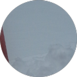 Profile photo of Paul Tremblay