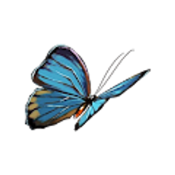 Profile photo of Jacqueline