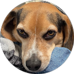 Profile photo of Kathi Webber