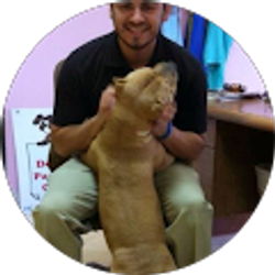 Profile photo of Arturo Reyes