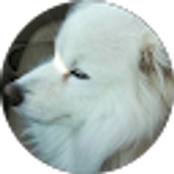 Profile photo of Spencer Donovan