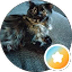 Profile photo of Shelley M Horner