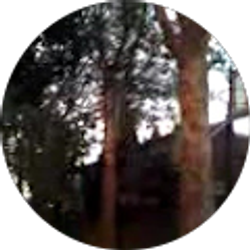 Profile photo of Pat Weah