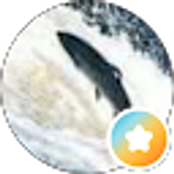 Profile photo of findtruth88