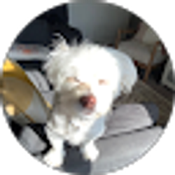 Profile photo of Nini Quiroga