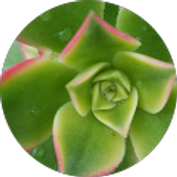 Profile photo of Erin Ziegenbein