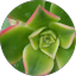 Profile photo of Erin Ziegenbein