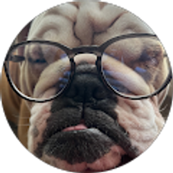 Profile photo of Yanelly Rivera