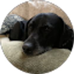 Profile photo of Michael Bahr