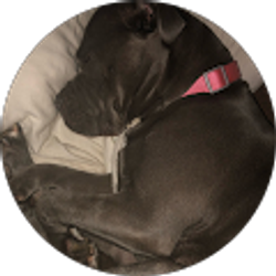 Profile photo of Samuel Ukaegbu