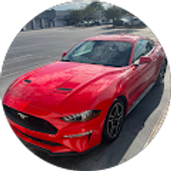 Profile photo of Nicholas Ramos