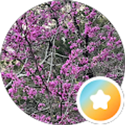 Profile photo of Laura Stern