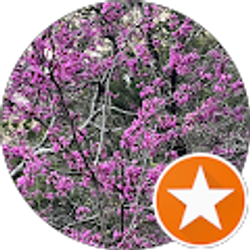 Profile photo of Laura Stern