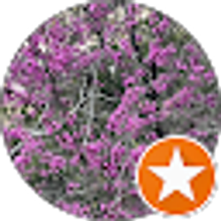 Profile photo of Laura Stern