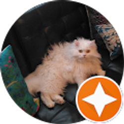 Profile photo of Cami