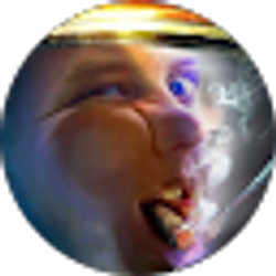 Profile photo of Beep Boop