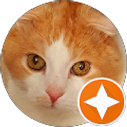 Profile photo of El Bee