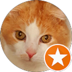 Profile photo of El Bee