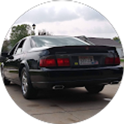 Profile photo of Shea Casey