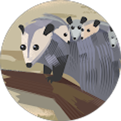 Profile photo of Ashley Ehritz