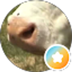 Profile photo of D B