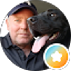 Profile photo of Ian T