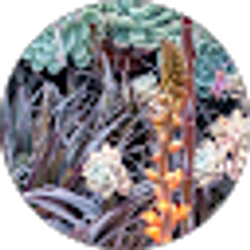 Profile photo of Louann Rank