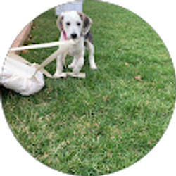 Profile photo of T Bills