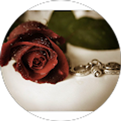 Profile photo of Sereen Sulaiman