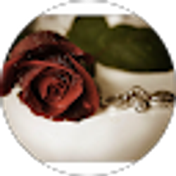 Profile photo of Sereen Sulaiman